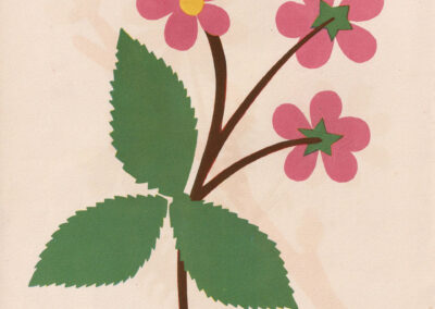 Petites fleurs roses et grandes feuilles dentées, en papier découpé — Découpages 2, France, 1948
