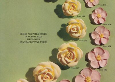 Roses et églantines grandeur nature, page 11